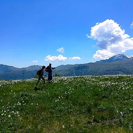 Le Fonti Roccaforte Mondovì